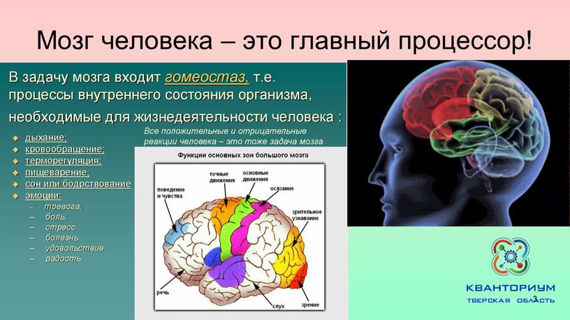Мозг человека – это главный процессор! 3