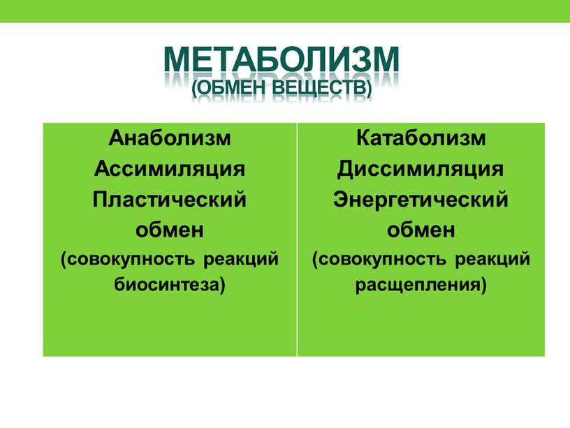 Анаболизм Ассимиляция Пластический обмен (совокупность реакций биосинтеза)