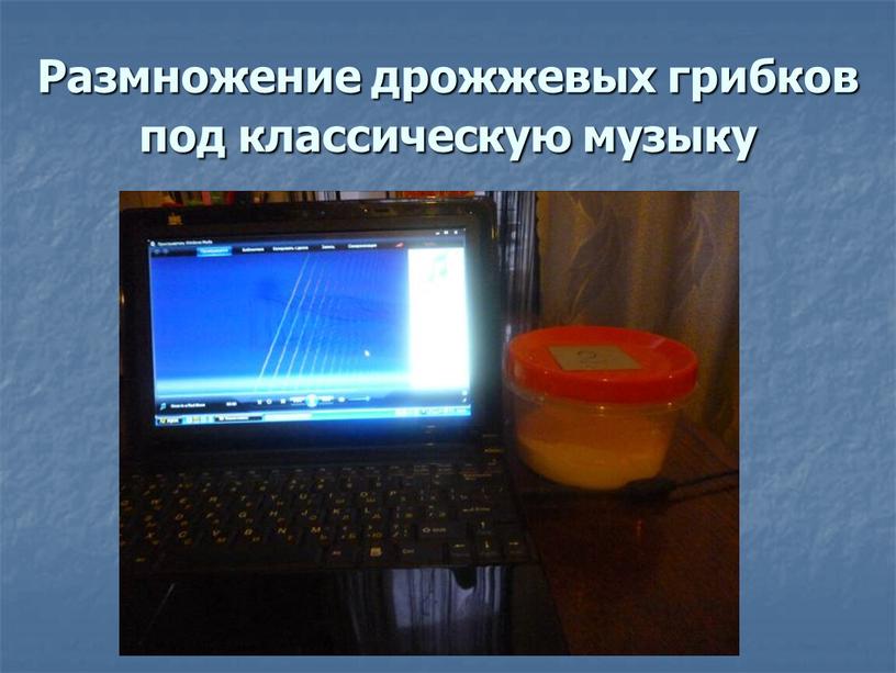 Размножение дрожжевых грибков под классическую музыку