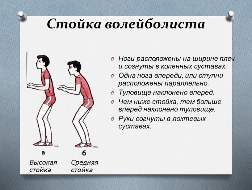 Стойка волейболиста Ноги расположены на ширине плеч и согнуты в коленных суставах