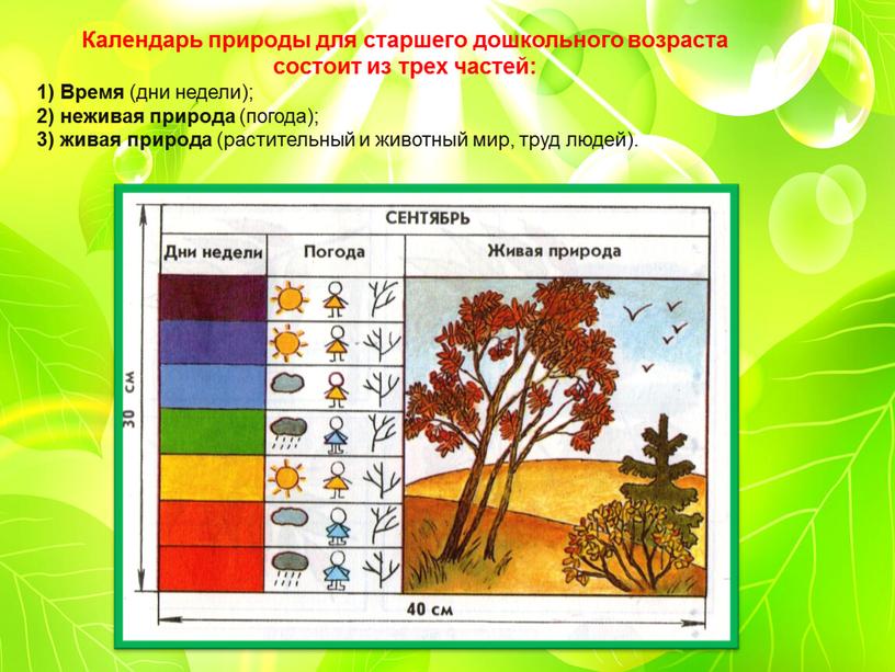Календарь природы для старшего дошкольного возраста состоит из трех частей: 1)