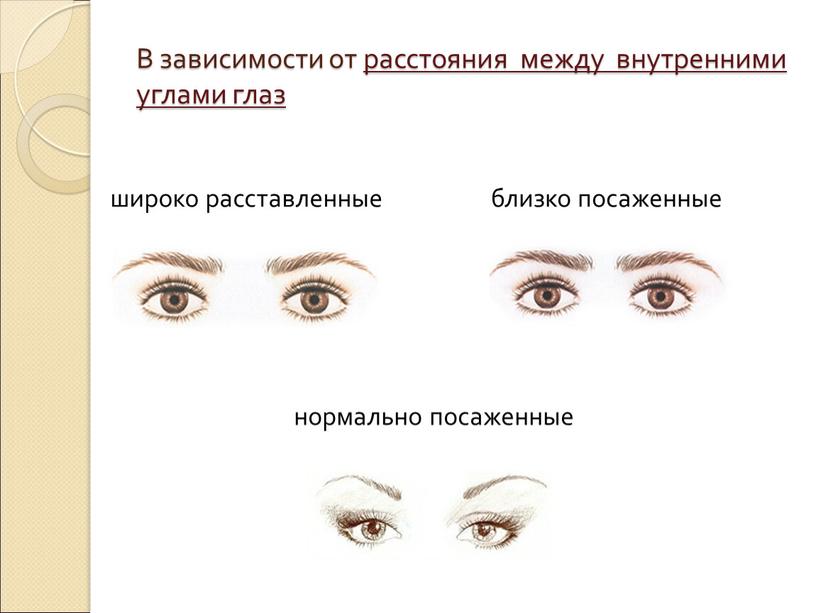 В зависимости от расстояния между внутренними углами глаз широко расставленные близко посаженные нормально посаженные