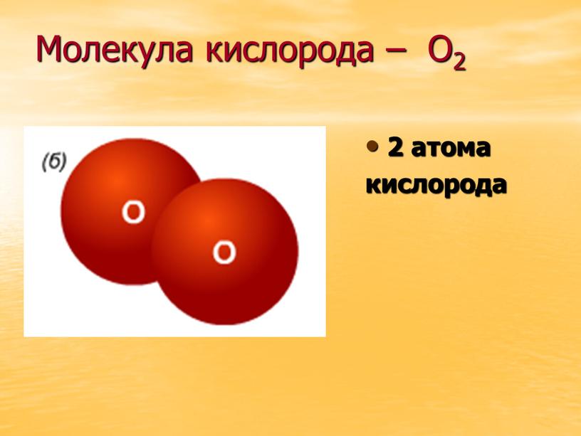 Молекула кислорода – О2 2 атома кислорода