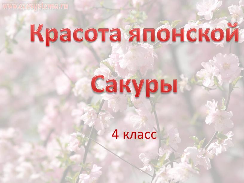 4 класс Красота японской Сакуры