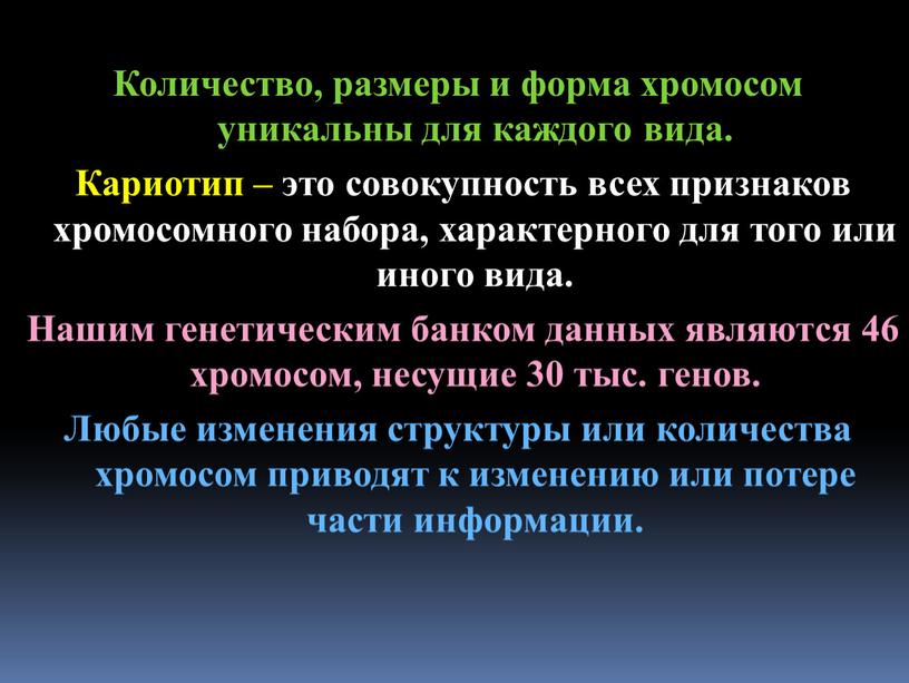 Количество, размеры и форма хромосом уникальны для каждого вида