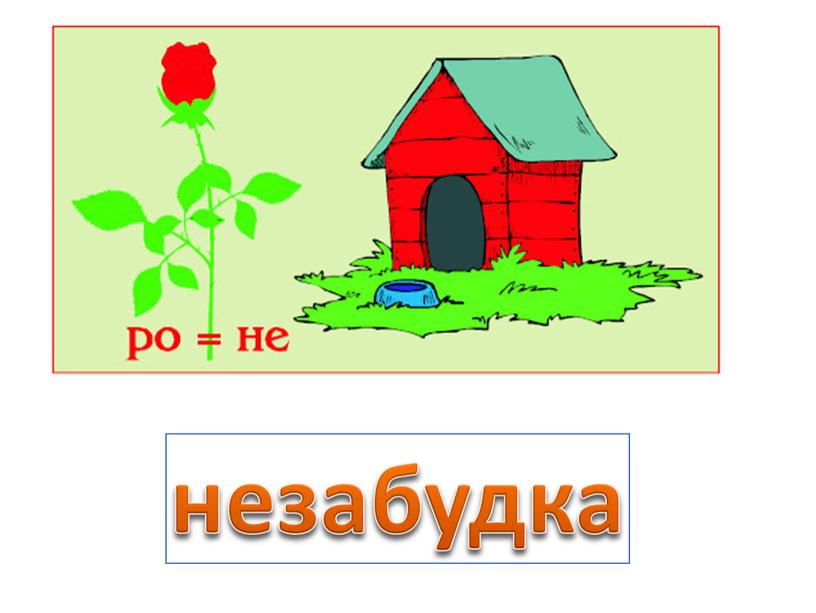 незабудка