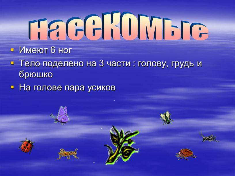 Имеют 6 ног Тело поделено на 3 части : голову, грудь и брюшко