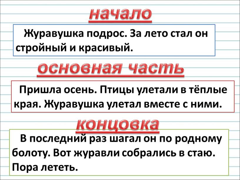 Журавушка подрос. За лето стал он стройный и красивый