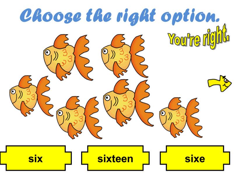 Choose the right option. sixteen six sixe