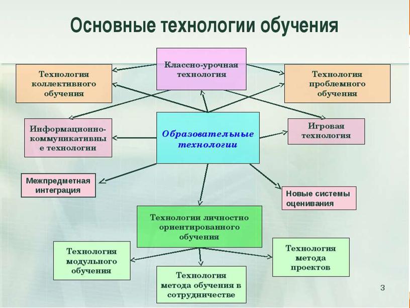 Кости и мышцы нижней конечности.