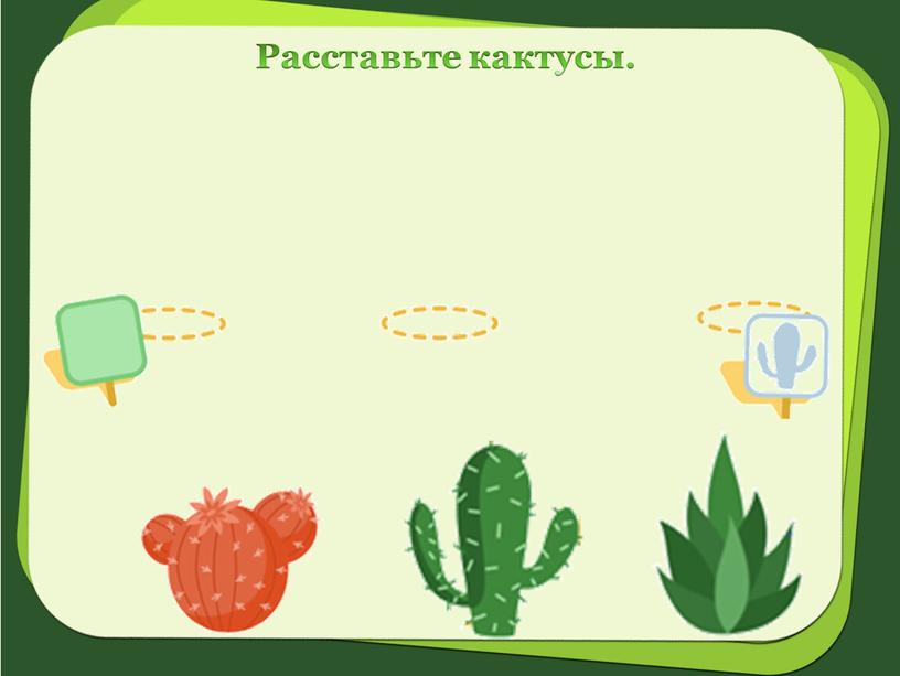 Расставьте кактусы.