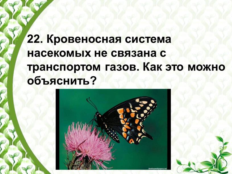 Кровеносная система насекомых не связана с транспортом газов