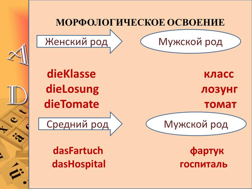 Klasse класс dieLosung лозунг dieTomate томат