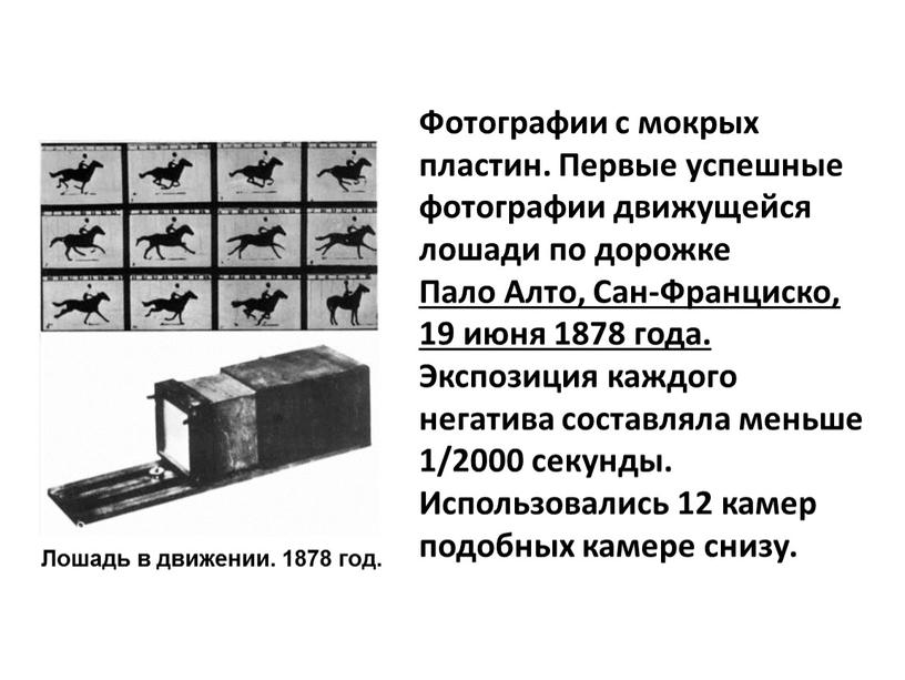 Фотографии с мокрых пластин. Первые успешные фотографии движущейся лошади по дорожке