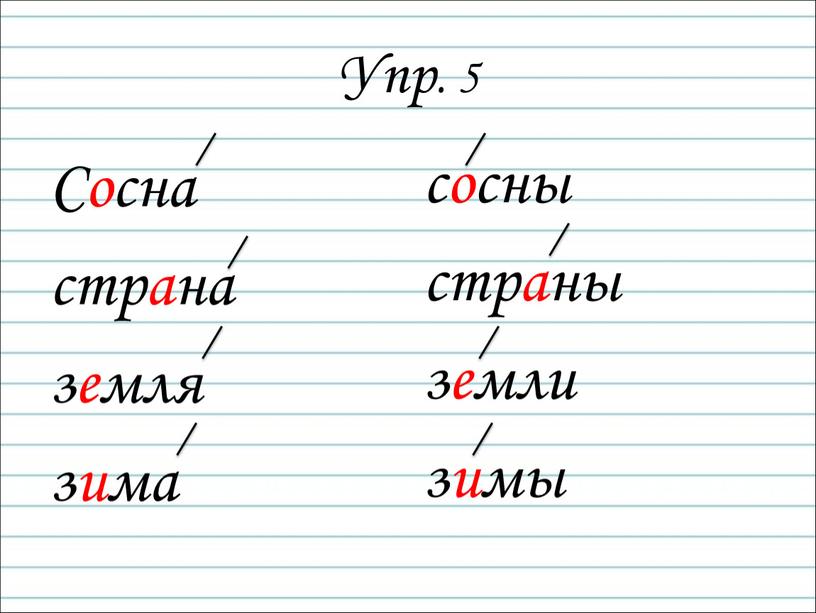 Упр. 5 Сосна страна земля зима сосны страны земли зимы