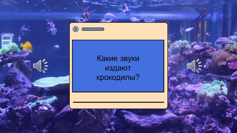 Какие звуки издают крокодилы?