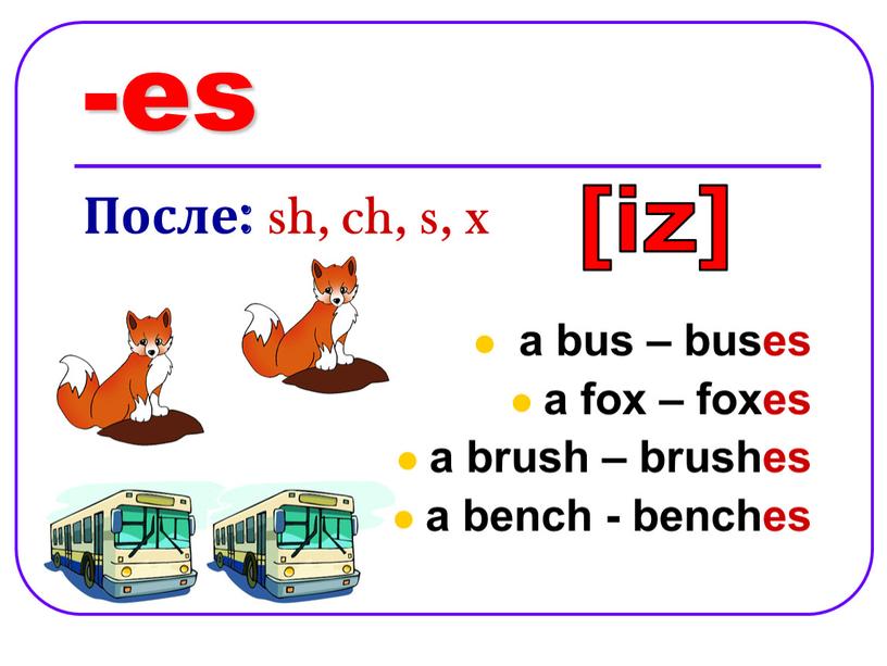 После: sh, ch, s, x a bus – buses a fox – foxes a brush – brushes a bench - benches [iz]