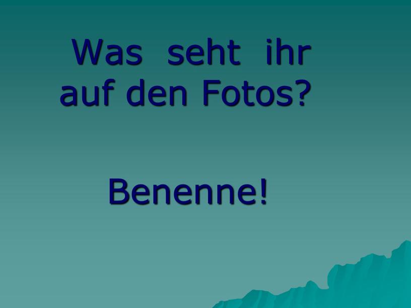 Was seht ihr auf den Fotos?