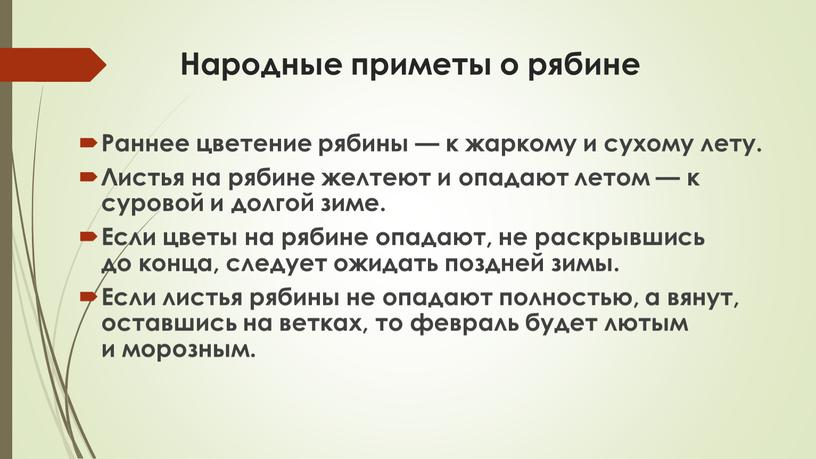 Народные приметы о рябине Раннее цветение рябины — к жаркому и сухому лету