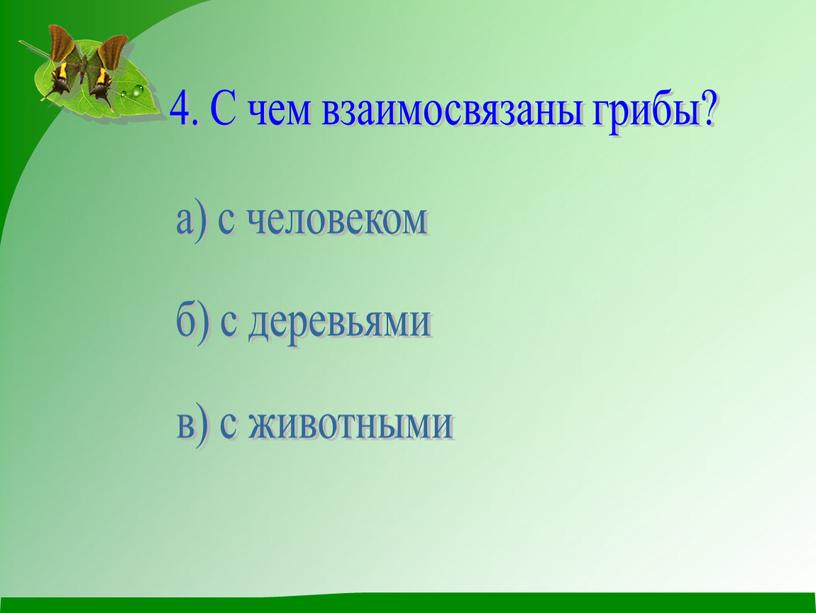 С чем взаимосвязаны грибы? а) с человеком б) с деревьями в) с животными