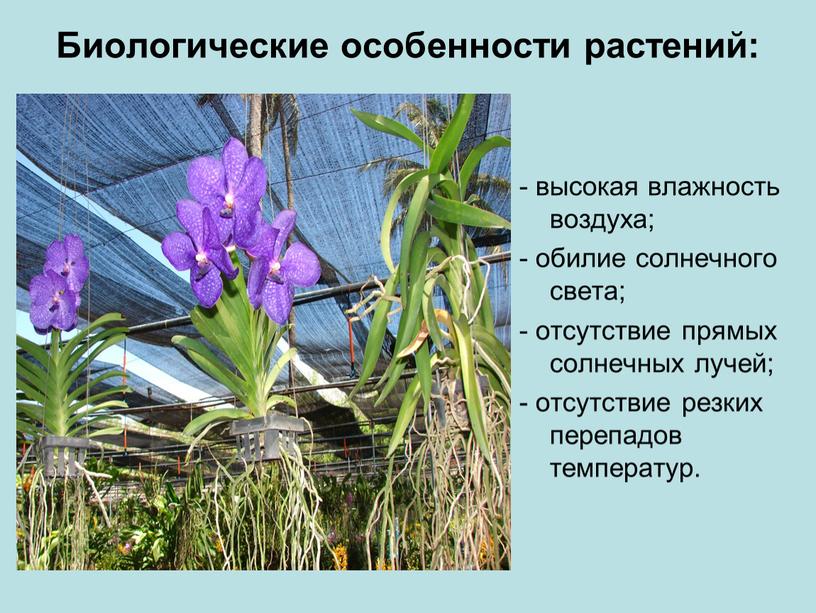 Биологические особенности растений: - высокая влажность воздуха; - обилие солнечного света; - отсутствие прямых солнечных лучей; - отсутствие резких перепадов температур