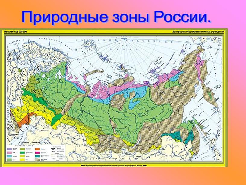 Природные зоны России.