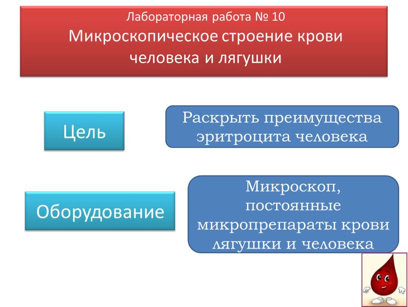 Раскрыть преимущества эритроцита человека