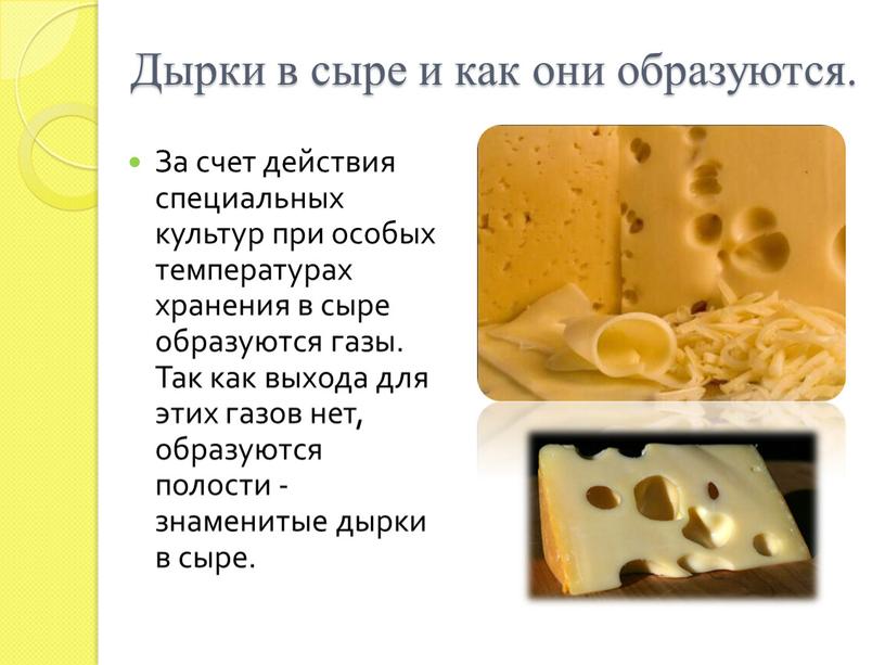 Дырки в сыре и как они образуются