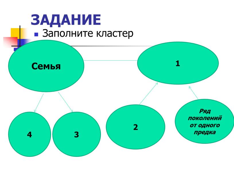 ЗАДАНИЕ Заполните кластер Семья 1