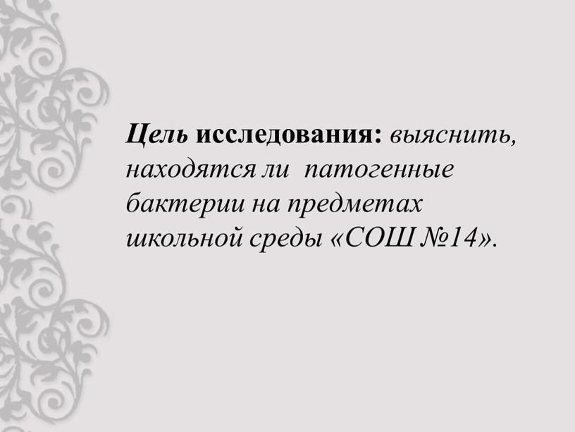 Цель исследования: выяснить, находятся ли патогенные бактерии на предметах школьной среды «СОШ №14»