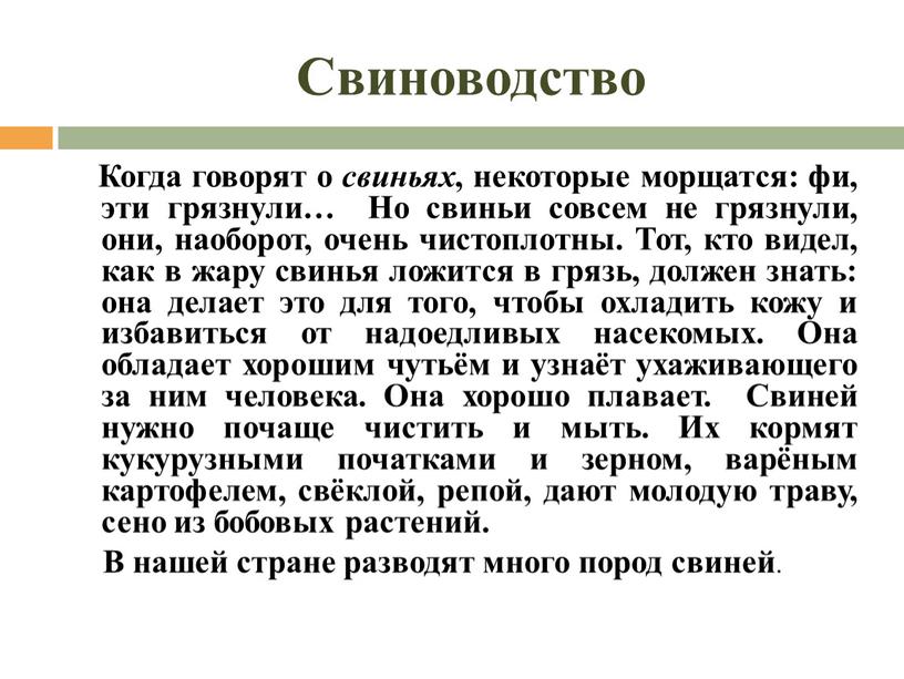 Свиноводство Когда говорят о свиньях , некоторые морщатся: фи, эти грязнули…