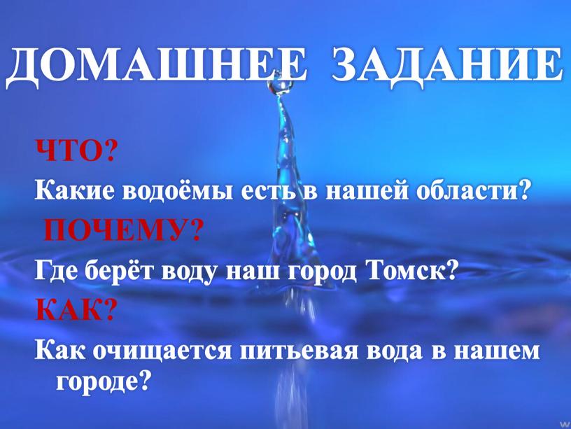 ДОМАШНЕЕ ЗАДАНИЕ ЧТО? Какие водоёмы есть в нашей области?