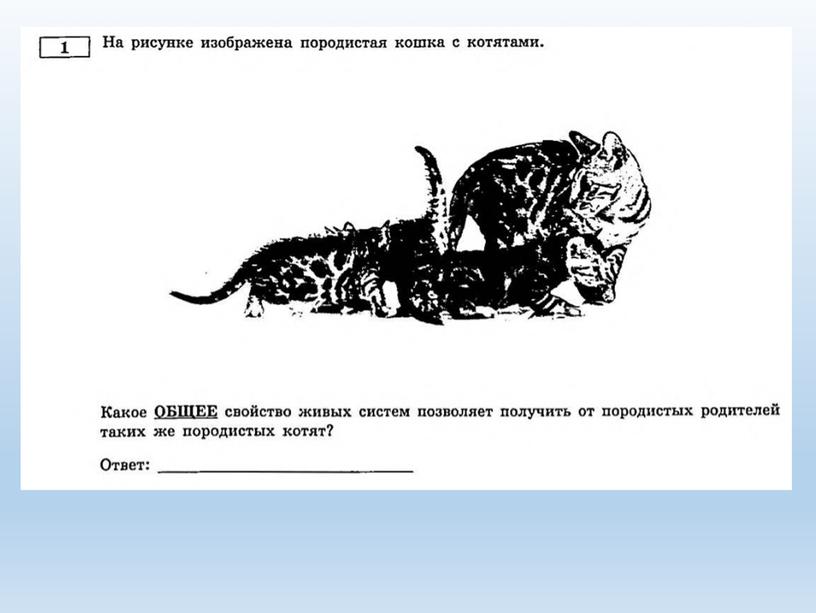 Разбор заданий №1 ОГЭ биология из сборника В.С.Рохлова