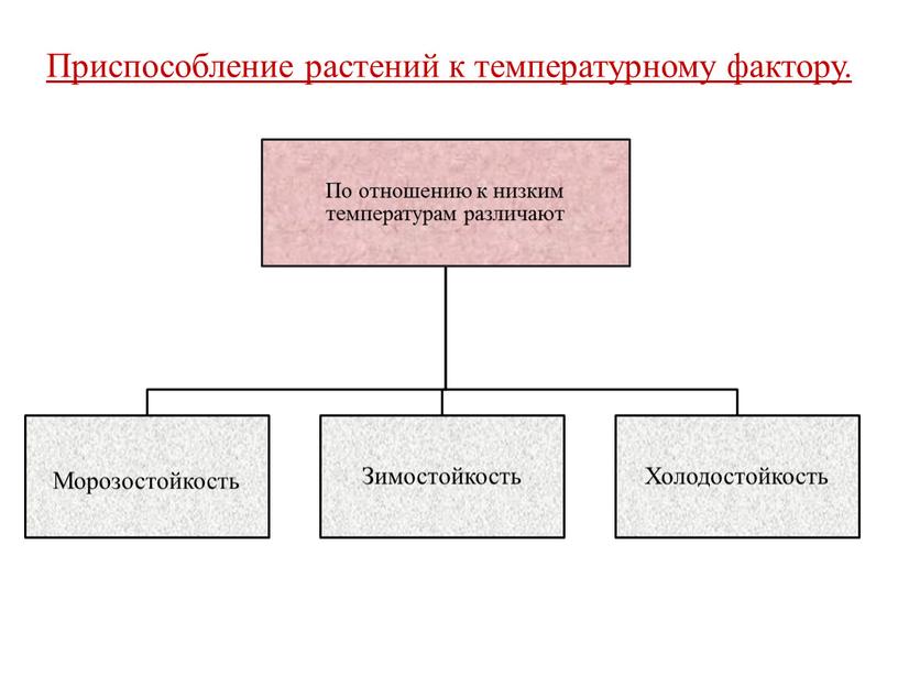 Приспособление растений к температурному фактору