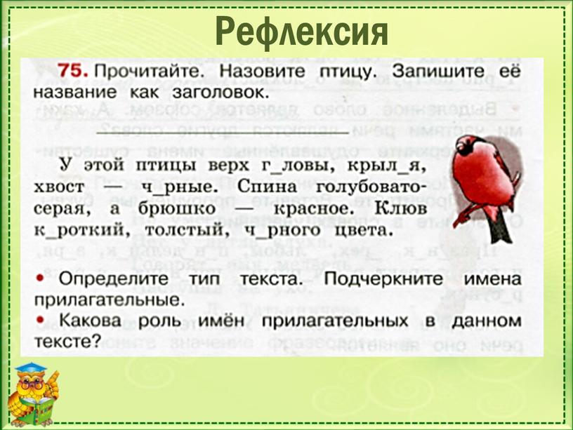 Рефлексия