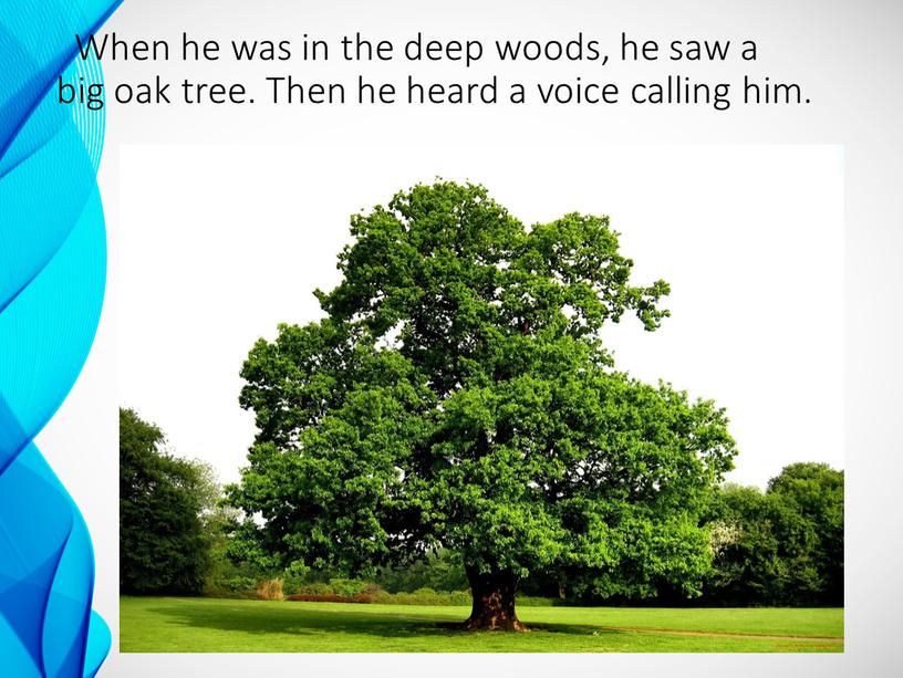 When he was in the deep woods, he saw a big oak tree