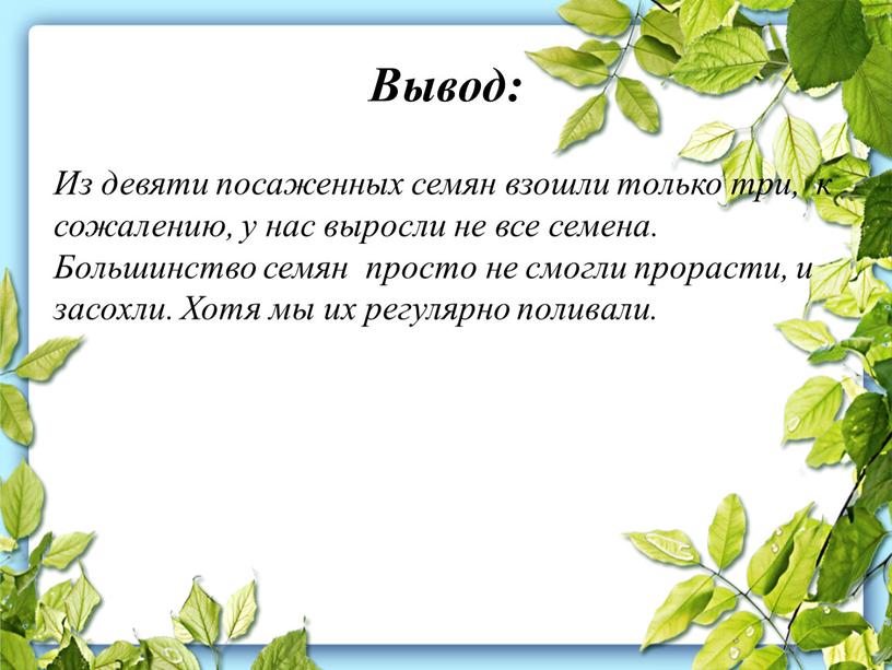 Вывод: Из девяти посаженных семян взошли только три, к сожалению, у нас выросли не все семена