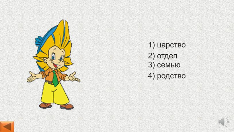 4) родство 1) царство 2) отдел 3) семью