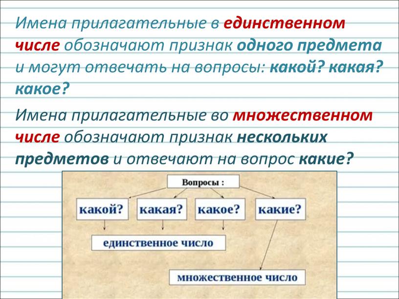 Имена прилагательные в единственном числе обозначают признак одного предмета и могут отвечать на вопросы: какой? какая? какое?