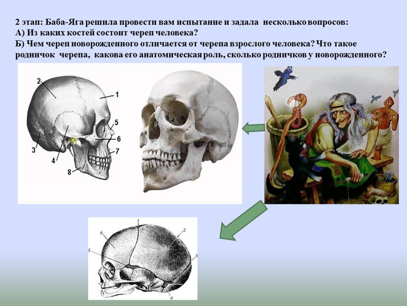 Баба-Яга решила провести вам испытание и задала несколько вопросов: