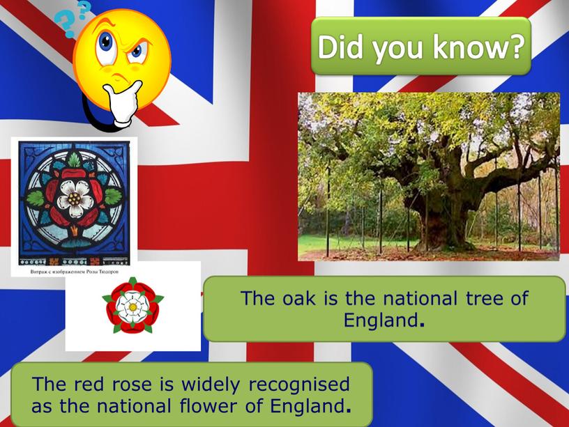 The red rose is widely recognised as the national flower of