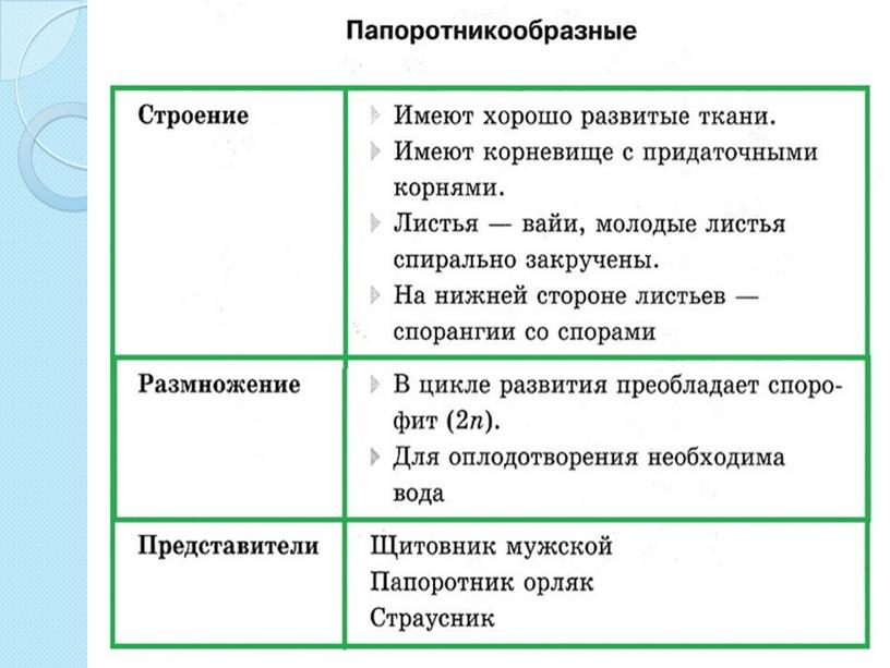 Презентация по биологии на тему " Отдел Папоротниковидные" (7 класс)