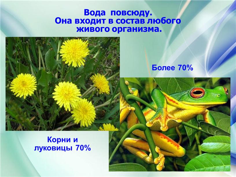 Корни и луковицы 70% Более 70%