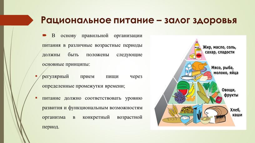 Рациональное питание – залог здоровья