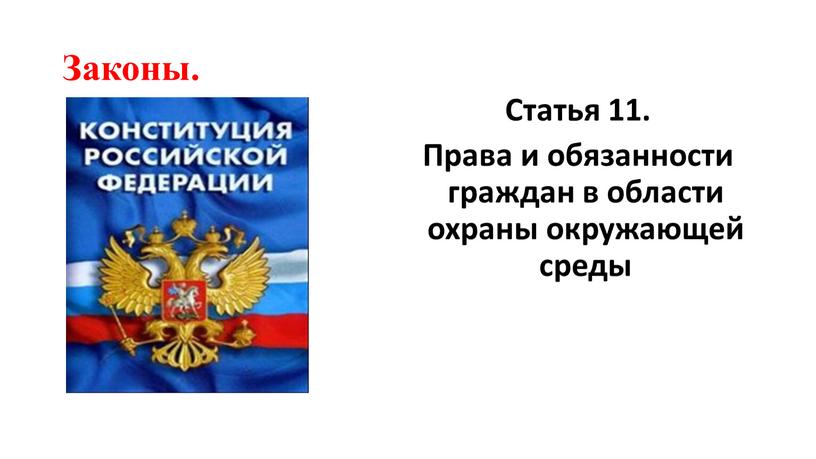 Законы. Статья 11. Права и обязанности граждан в области охраны окружающей среды