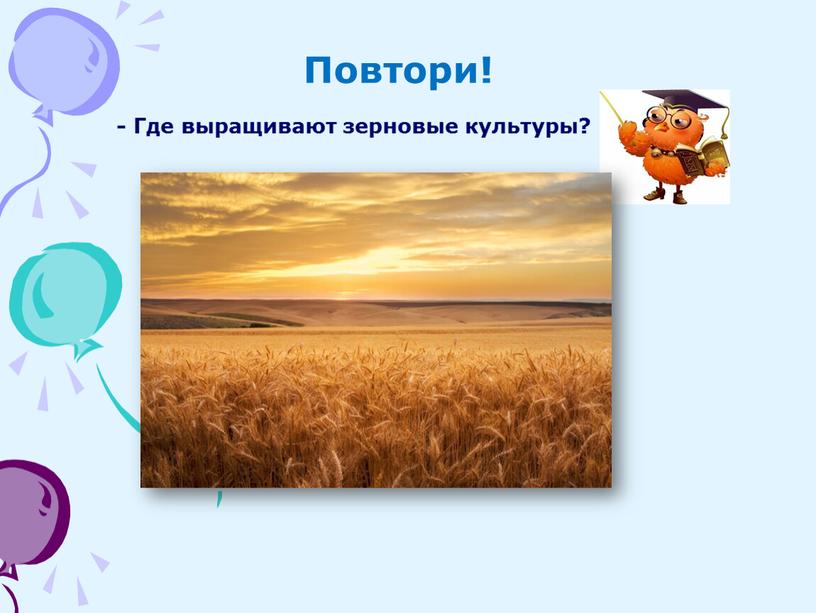 Повтори! - Где выращивают зерновые культуры?