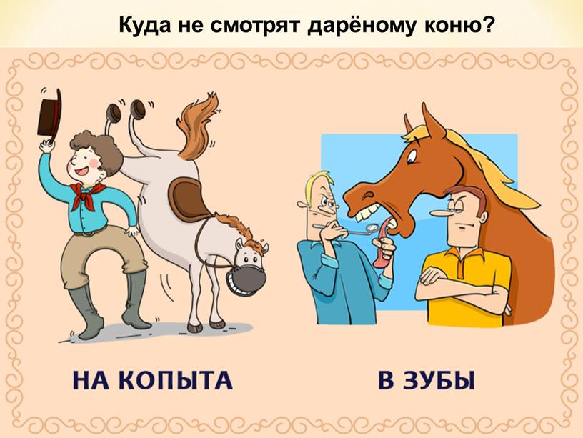 Куда не смотрят дарёному коню?