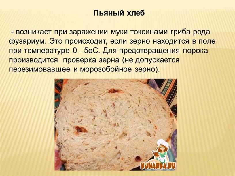 Пьяный хлеб - возникает при заражении муки токсинами гриба рода фузариум