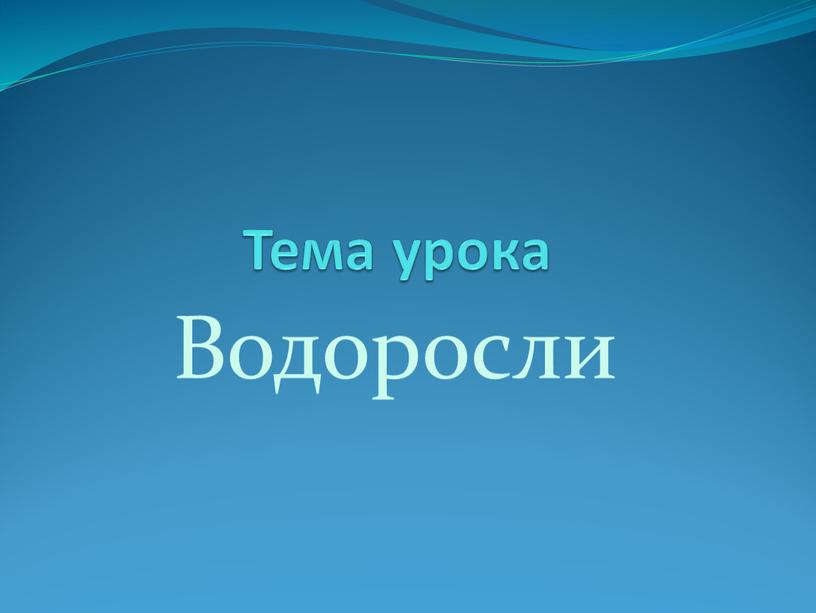 Тема урока Водоросли