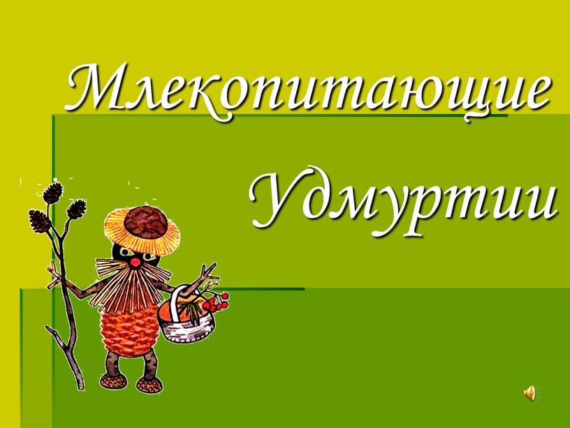 Млекопитающие Удмуртии